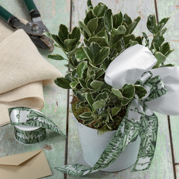 nastro personalizzato fiorista corio